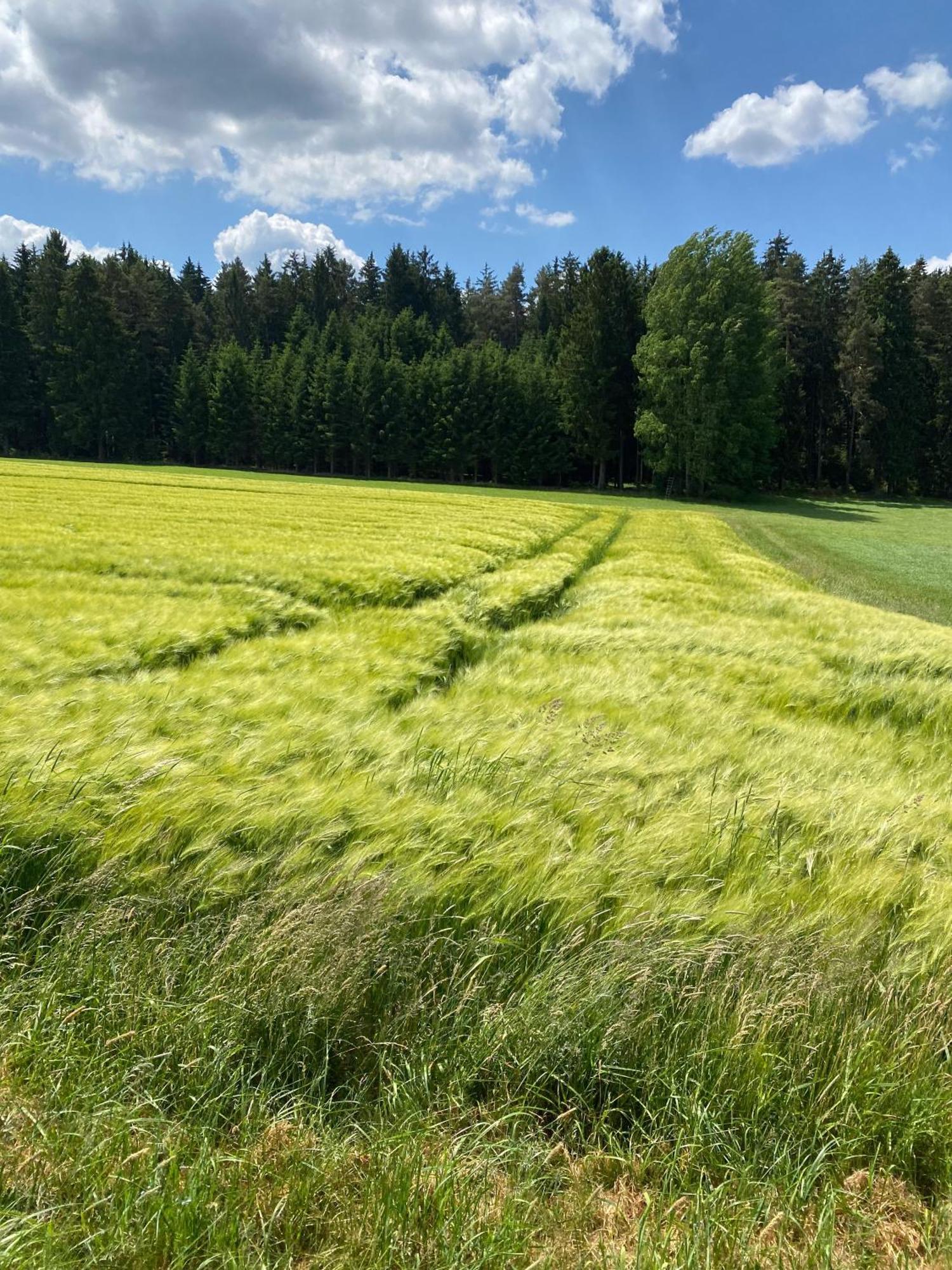 Haus Mit Geschichte In Maehring 아파트 외부 사진